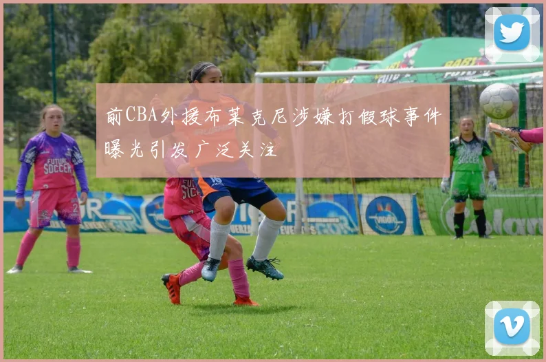 前CBA外援布莱克尼涉嫌打假球事件曝光引发广泛关注